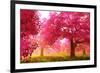 Japan Cherry Blossoms Garden -null-Framed Art Print