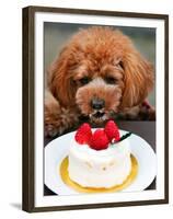 Japan Dog Christmas Cake-Itsuo Inouye-Framed Premium Photographic Print