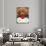 Japan Dog Christmas Cake-Itsuo Inouye-Premium Photographic Print displayed on a wall