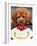 Japan Dog Christmas Cake-Itsuo Inouye-Framed Photographic Print