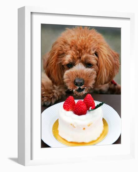 Japan Dog Christmas Cake-Itsuo Inouye-Framed Photographic Print