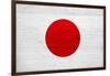 Japan Flag Design with Wood Patterning - Flags of the World Series-Philippe Hugonnard-Framed Art Print