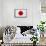 Japan Flag Design with Wood Patterning - Flags of the World Series-Philippe Hugonnard-Framed Stretched Canvas displayed on a wall