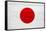 Japan Flag Design with Wood Patterning - Flags of the World Series-Philippe Hugonnard-Framed Stretched Canvas