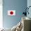 Japan Flag Design with Wood Patterning - Flags of the World Series-Philippe Hugonnard-Art Print displayed on a wall