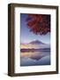 Japan, Fuji - Hakone - Izu National Park, Mt Fuji and Kawaguchi Ko Lake-Michele Falzone-Framed Premium Photographic Print