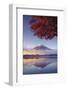 Japan, Fuji - Hakone - Izu National Park, Mt Fuji and Kawaguchi Ko Lake-Michele Falzone-Framed Premium Photographic Print