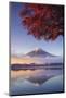 Japan, Fuji - Hakone - Izu National Park, Mt Fuji and Kawaguchi Ko Lake-Michele Falzone-Mounted Premium Photographic Print