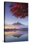 Japan, Fuji - Hakone - Izu National Park, Mt Fuji and Kawaguchi Ko Lake-Michele Falzone-Stretched Canvas