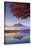 Japan, Fuji - Hakone - Izu National Park, Mt Fuji and Kawaguchi Ko Lake-Michele Falzone-Stretched Canvas