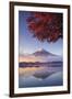 Japan, Fuji - Hakone - Izu National Park, Mt Fuji and Kawaguchi Ko Lake-Michele Falzone-Framed Premium Photographic Print