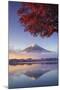 Japan, Fuji - Hakone - Izu National Park, Mt Fuji and Kawaguchi Ko Lake-Michele Falzone-Mounted Premium Photographic Print