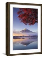 Japan, Fuji - Hakone - Izu National Park, Mt Fuji and Kawaguchi Ko Lake-Michele Falzone-Framed Photographic Print