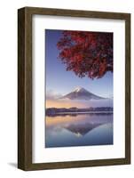 Japan, Fuji - Hakone - Izu National Park, Mt Fuji and Kawaguchi Ko Lake-Michele Falzone-Framed Photographic Print