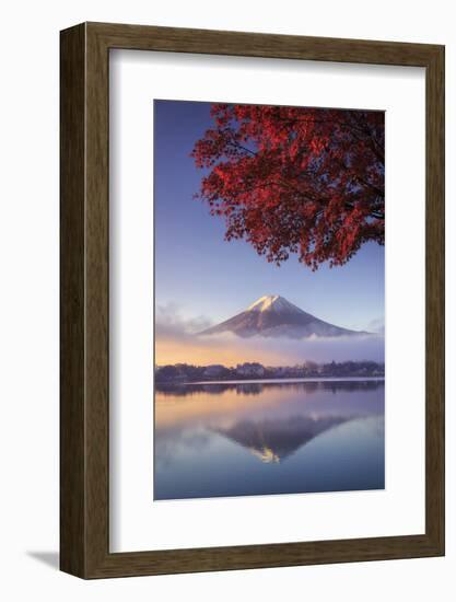 Japan, Fuji - Hakone - Izu National Park, Mt Fuji and Kawaguchi Ko Lake-Michele Falzone-Framed Photographic Print