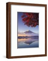 Japan, Fuji - Hakone - Izu National Park, Mt Fuji and Kawaguchi Ko Lake-Michele Falzone-Framed Photographic Print