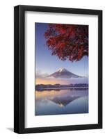 Japan, Fuji - Hakone - Izu National Park, Mt Fuji and Kawaguchi Ko Lake-Michele Falzone-Framed Photographic Print