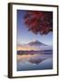 Japan, Fuji - Hakone - Izu National Park, Mt Fuji and Kawaguchi Ko Lake-Michele Falzone-Framed Photographic Print