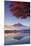 Japan, Fuji - Hakone - Izu National Park, Mt Fuji and Kawaguchi Ko Lake-Michele Falzone-Mounted Photographic Print