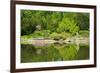 Japan Garden in Spring, Wroclaw, Poland-neirfy-Framed Photographic Print