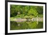 Japan Garden in Spring, Wroclaw, Poland-neirfy-Framed Photographic Print