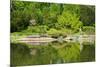 Japan Garden in Spring, Wroclaw, Poland-neirfy-Mounted Photographic Print