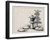 Japan: Garden Ornament-Kano-Framed Giclee Print