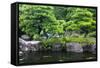 Japan, Himeji, Himeji Koko-En Gardens, Pond with Koi Carps-Nosnibor137-Framed Stretched Canvas