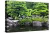 Japan, Himeji, Himeji Koko-En Gardens, Pond with Koi Carps-Nosnibor137-Stretched Canvas