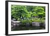 Japan, Himeji, Himeji Koko-En Gardens, Pond with Koi Carps-Nosnibor137-Framed Photographic Print