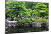 Japan, Himeji, Himeji Koko-En Gardens, Pond with Koi Carps-Nosnibor137-Mounted Photographic Print