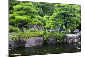 Japan Himeji Himeji Koko-En Gardens Pond with Koi Carps-Nosnibor137-Mounted Photographic Print