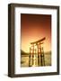 Japan, Hiroshima, Miyajima Island, the Red Torii Gate of Itsukushima-jinja Shinto Shrine-Michele Falzone-Framed Photographic Print