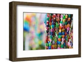 Japan Hiroshima Peace Memorial Park Colorful Paper Cranes Close-Up-Nosnibor137-Framed Photographic Print