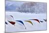 Japan, Hokkaido, Lake Kussharo. Colorful Canoes in the snow-Hollice Looney-Mounted Photographic Print