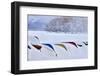 Japan, Hokkaido, Lake Kussharo. Colorful Canoes in the snow-Hollice Looney-Framed Photographic Print