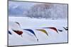 Japan, Hokkaido, Lake Kussharo. Colorful Canoes in the snow-Hollice Looney-Mounted Photographic Print