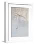 Japan, Hokkaido, Tsurui. Hooded Crane Walks in River at Sunrise-Jaynes Gallery-Framed Photographic Print