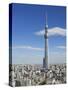 Japan, Honshu, Kanto, Tokyo, Asakusa, Skytree Tower-Steve Vidler-Stretched Canvas