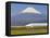 Japan, Houshu, Shinkansen (Bullet Train) Passing Mount Fuji-Gavin Hellier-Framed Stretched Canvas