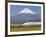 Japan, Houshu, Shinkansen (Bullet Train) Passing Mount Fuji-Gavin Hellier-Framed Photographic Print