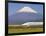 Japan, Houshu, Shinkansen (Bullet Train) Passing Mount Fuji-Gavin Hellier-Framed Photographic Print