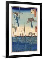 Japan: Iris Garden, 1857-Ando Hiroshige-Framed Giclee Print