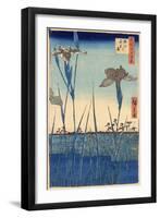 Japan: Iris Garden, 1857-Ando Hiroshige-Framed Premium Giclee Print