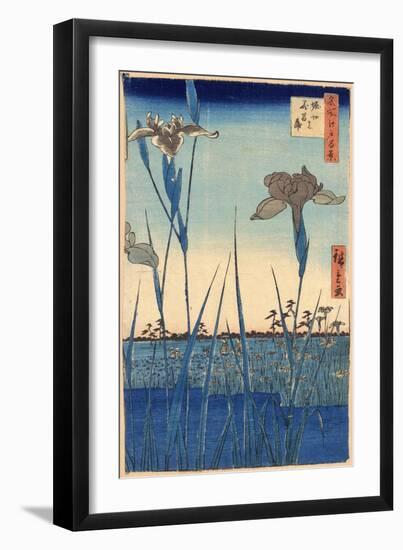 Japan: Iris Garden, 1857-Ando Hiroshige-Framed Premium Giclee Print