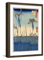 Japan: Iris Garden, 1857-Ando Hiroshige-Framed Giclee Print