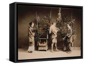 Japan, Japanese Women and Man Flower Arranging-null-Framed Stretched Canvas