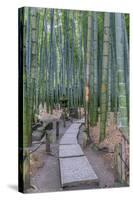 Japan, Kanagawa, Kamakura, Hokokuji Temple Garden-Rob Tilley-Stretched Canvas