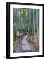 Japan, Kanagawa, Kamakura, Hokokuji Temple Garden-Rob Tilley-Framed Photographic Print