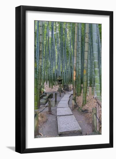 Japan, Kanagawa, Kamakura, Hokokuji Temple Garden-Rob Tilley-Framed Photographic Print